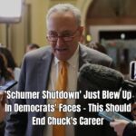 Dems Trying Hard To Sell One Point About ‘Schumer Shutdown’…But They Can’t