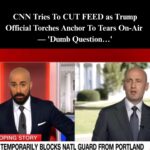 Stephen Miller Obliterates CNN Hosts ‘Dumb Question’ About ICE Raids