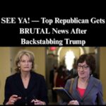 Trump Ally Mike Dunleavy Reportedly Eyeing Senate Run Against Lisa Murkowski