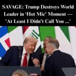 Trump Cracks Joke With Canada’s Prime Minister In Hot Mic Moment