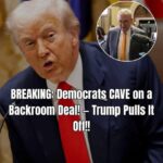 Thune Predicts More Democrats Will Support Bill to Reopen the Government