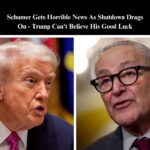 Americans Shifting Blame to Democrats For ‘Schumer Shutdown’