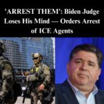 Chicago Judge Restricts ICE Courthouse Arrests, Setting Up Clash Over Deportations