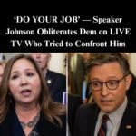 Johnson Slams Dems Over Grijalva Controversy, Reminds Them of ‘Pelosi Rule’