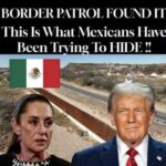 Tom Homan Reveals Heartbreaking Reason He Fights To Secure Border