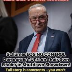 Schumer Shutdown REVOLT: More Dems Betray Leader, Side With GOP On Reopening Govt.