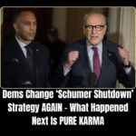 Democrats Say It’s ‘For The Children’ — Until They Need a Shutdown to Score Points