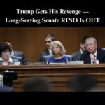 Trump Ally Preparing Senate Run Against Murkowski: Report