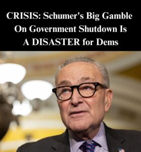 Airline CEOs Rip Democrats For Keeping Govt. Closed