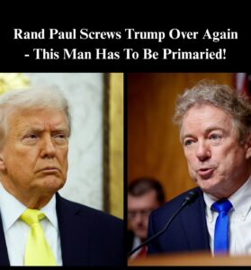 Rand Paul Vows Support For Thomas Massie Over Trump-Backed Candidate