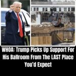 You Won’t Believe Who Just Defended Trump’s New White House Ballroom