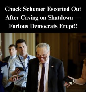 Schumer Faces Democratic Fury After Government Shutdown Deal