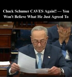 Senate Democrats Cave Again as Party Leaders Rage Against Schumer