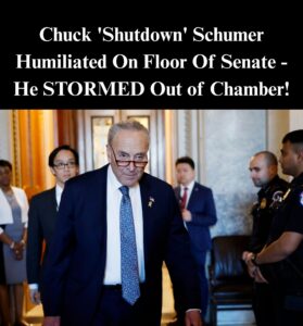 Schumer Retreats After GOP Senator Confronted Him Over Obamacare ‘Fix’