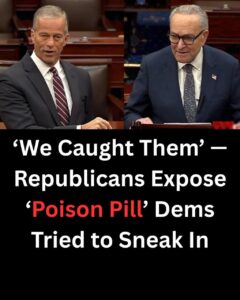 Speaker Johnson Exposes ‘Poison Pill’ Dems Tried to Sneak Into Bill