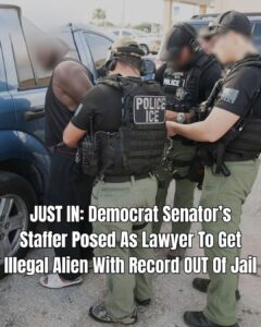 Senator Duckworth’s Staffer Impersonates Lawyer in Attempt to Free Detained Immigrant