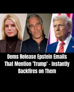 White House Criticizes Release of Epstein Emails as ‘Selective’ and ‘Bad-Faith’