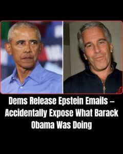 Epstein Exchanged Emails With Former Lawyer For Barack Obama
