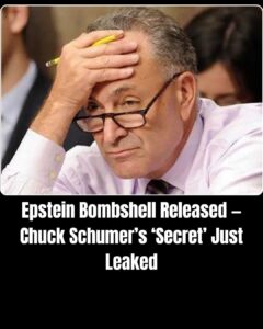 Chuck Schumer Makes Huge Admission About Epstein Files